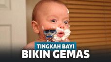 bayi lucu