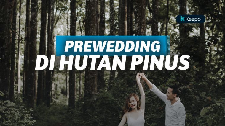 wisata-hutan-pinus