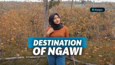wisata di ngawi