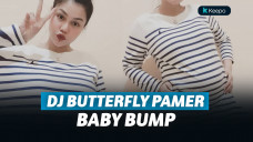 dj butterfly hamil