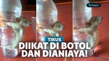 Tikus diikat di botol