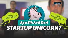 Startup unicorn