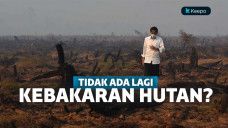 Jokowi Kebakaran Hutan