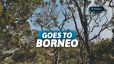 wisata di borneo
