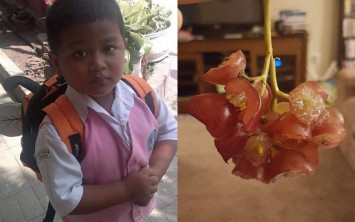 bocah salah menafsirkan perintah