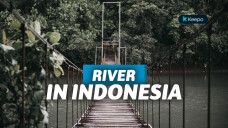 wisata sungai