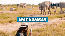 taman-wisata-way-kambas