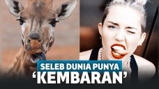 Selebritis yang wajahnya mirip dengan hewan