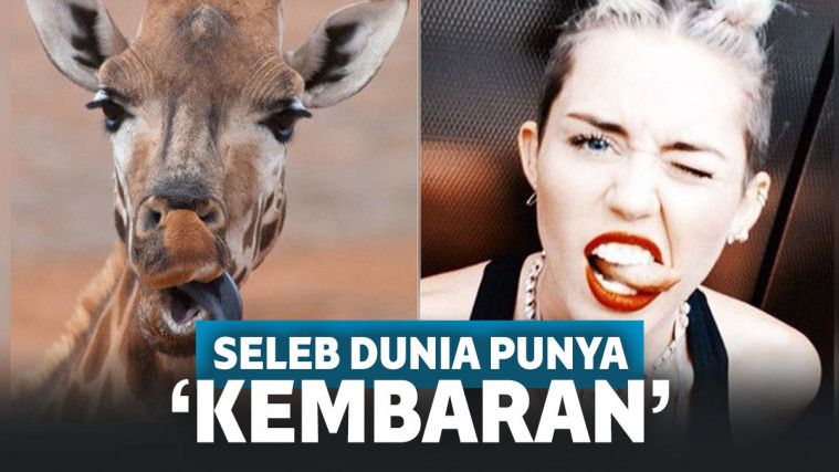 10 Selebriti Dunia Ini Punya Wajah Yang Mirip Dengan Hewan