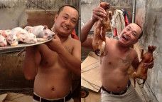 Kucing Lucu ini Berakhir di Panggangan Buat Jadi Makanan!