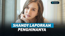 Shandy Aulia laporkan penghinanya