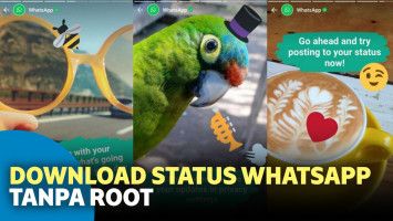 cara download status whatsapp