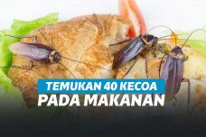 wanita ini temukan 40 kecoa di makanannya