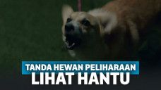 Ilustrasi anjing menyalak