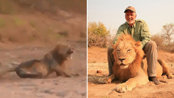 Pria ini berburu binatang yang dilindungi