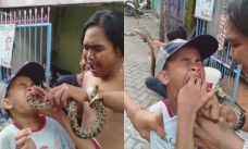 bocah kepatok ular