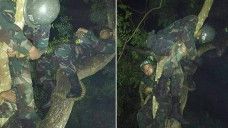 Prajurit TNI tidur di ranting pohon