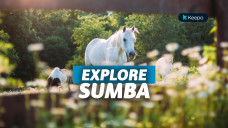 destinasi wisata sumba terbaik