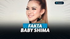 Fakta baby shima