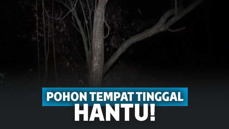 44 Gambar Hantu Parakang HD Terbaru