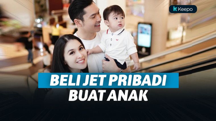 jet pribadi sandra dewi