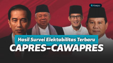Lembaga Survei