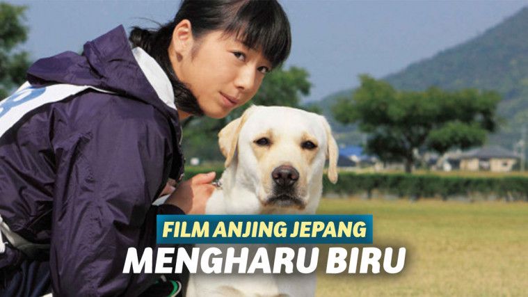 6 Film  Anjing  Jepang Mengharu Biru  Wajib Ditonton Dog Lovers