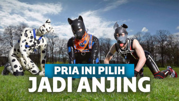 Tidak Pernah Merasa seperti Manusia, Seorang Pria Memilih Jadi Anjing, Dia Menggigit dan Menggonggong