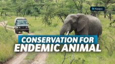 taman nasional satwa indonesia