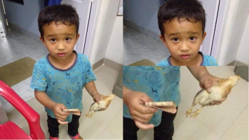 anak kecil bawa ayam mati ke RS