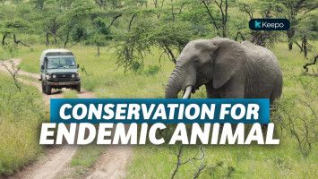 taman nasional satwa indonesia