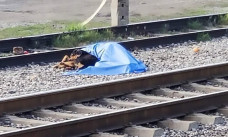 Seekor Anjing Menolak Tinggalkan Pemiliknya yang Telah Meninggal Tertabrak Kereta Api