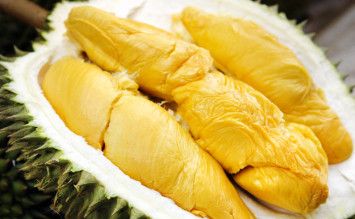 Daging buah durian siap santap