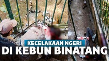 5 Kecelakaan di Kebun Binatang Akibat Kecerobohan Pengunjung