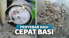 Cicak dan kecoa ditemukan dari bawah rice cooker