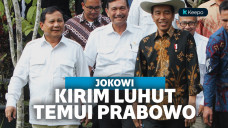 Jokowi utus Luhut bertemu Prabowo