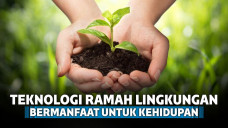 Eco friendly