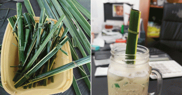 Kreatif! Kafe Ini Gunakan Daun Kelapa untuk Menghindari Penggunaan Sedotan Plastik