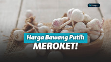 Bawang putih