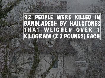 Deretan Bencana Alam Teraneh yang Pernah Terjadi !