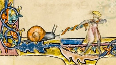 Teori Gila Kehidupan