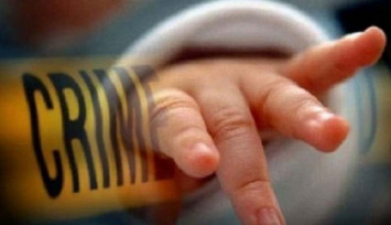 Seekor Anjing Selamatkan Hidup Bayi yang Ditelantarkan di Tempat Sampah