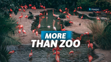 tempat wisata animal lovers