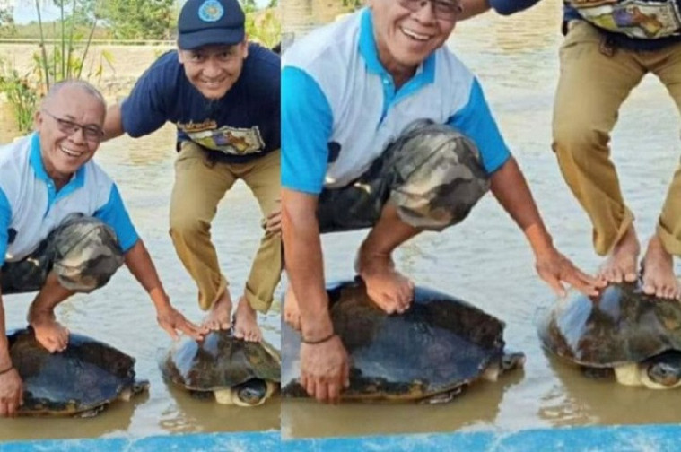 kepala dinas