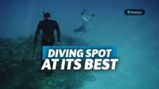 spot diving terbaik di indonesia