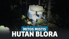 Deretan Kisah Mistis tentang Hutan Blora Ini Bikin Ciut!
