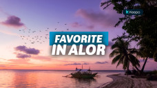 wisata di pulau alor