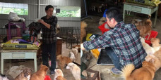 Pria ini jadi bangkrut dan dililit utang setelah mengadopsi 300 ekor anjing