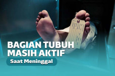 Wow! 7 Bagian Tubuh Ini Masih Aktif Setelah Seseorang Meninggal Dunia!