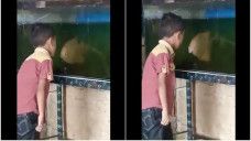 Anak "adu mulut" dengan ikan